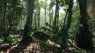 [4K] Tropical Rainforest in Unreal Engine 5 | Relaxing Cinematic Tour