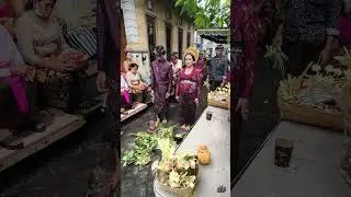 The Wedding I Gede Krisna Adi Pratama dan Chita Suci Lorenza
