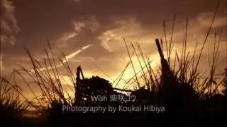 Wish - Ko Shibasaki
