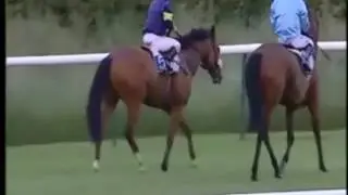 Racegoer invades track and attempts to race against horses.