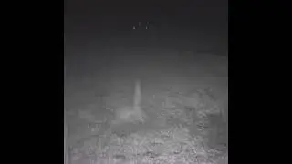 RedFox &ldquo;Catch Me If You Can &ldquo; #Nightvision #Action Camera #Predators #Trapping