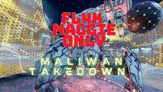 Borderlands 3: Maliwan takedown Maggie and hex only flawless