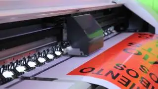 Edici&oacute;n Gr&aacute;fica