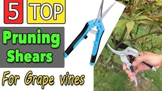 Best Pruning Shears For Grape Vines and Roses for Small Hands