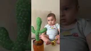 Baby Scared By Talking Cactus