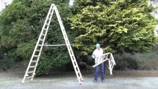 Double Sided Wooden Step Ladder | Stradbally Ladders