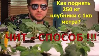 Стеллаж - Гроубокс - Ситиферма  