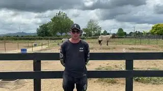 From the barn - Kyle Marshall Racing's Onedin Punter and Itsinthefinalcountdown (Cambridge Raceway).