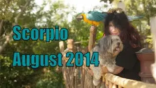 Scorpio August Astrology Forecast 2014 Michele Knight