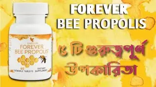 Bee Propolis Benefits Forever Living Products | Kamal Uddin