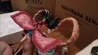 HQS Nico Robin Tsume
