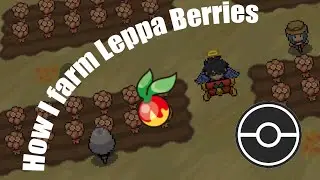 LEPPA BERRY FARM in PokeMMO