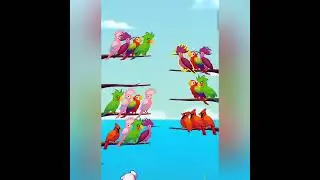 Birds Sorting Game | Amazing bird games | Bird video for kids | Games for kids