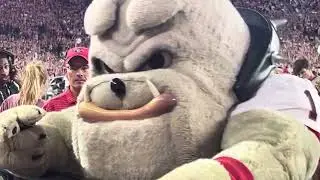 Hairy Dawg&mdash; UGA vs Bama 2024