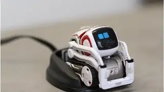 24h News | Anki is closing the doors on its toy robot business