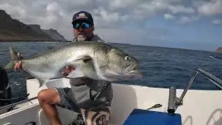 LABANA Studio giant BLUEFISH on WaterKiss model