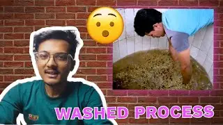 What is Washed Coffee? Wet Process from Farm to Cup [नेपालीमा]