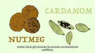 Journey | An Animated Documentary on Rice, Migration, and Culture (Turkish Subtitles)