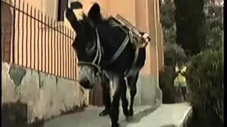 Alicudi