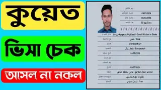 কুয়েত ভিসা চেক করার নিয়ম | kuwait visa check online | kuwait e-visa check