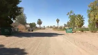 Ironwood and Elm in Mohave Valley Arizona