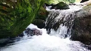 Bob Marley - By The Rivers Of Babylon