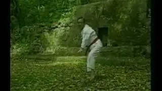 Shinpo Matayoshi