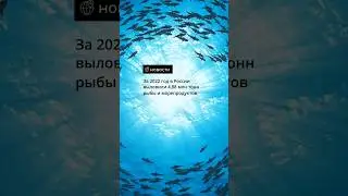 За 2022 год в России выловили 4,88 млн тонн рыбы и морепродуктов