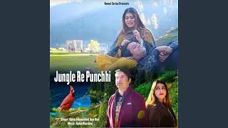 Jungle Re Punchhi