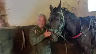 Entra&icirc;nement de MISSFRANCE JENILAT, pouliche Trot Cotentin - Semaine 17 - Ecurie E.VARIN