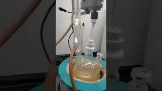 lab reactor distillery