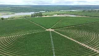Fazenda Cajueiro