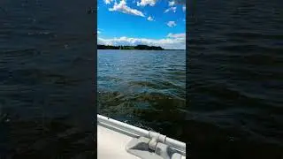 RIB Schlauchboot mit Rhino VX54 #boat #boating #schlei #emotor