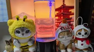 😪Good night⇒おやすみ😪