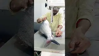 Catla fish cutting l Fish Cutting By Machine In Fish Market l Fish Cutting Video Showl  #shorts
