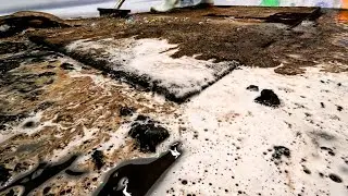 The Rug You Thought Was Gone – ASMR Restoration Story
