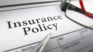 NJ Auto Policies Explained: Standard v. Basic v. Special/Dollar-a-Day Policies
