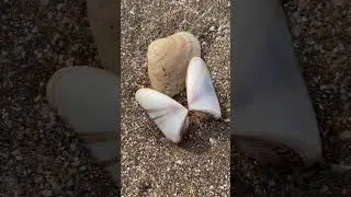 Nature & 🌈🤍🧡 #beach #creativity #ocean