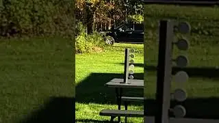 Kirin Plinking