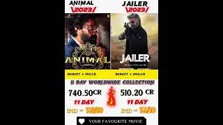 jailer vs animal box office collection 11 day #animal #ranbirkapoor #rajinikanth #shorts