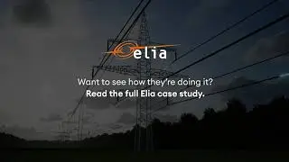 ELIA - Optimized portfolio management and value-based decision making