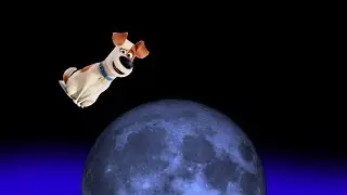 Shooting Stars Max