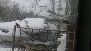 UGH! More Snow Charlie Brown!