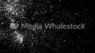 Abstract white dust particles floating on black background, monochrome. Animation. White dynamic