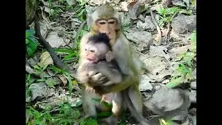 WOW! DeeDee hugs comfort baby Timo stop cry, Baby Timo cry when bad situation
