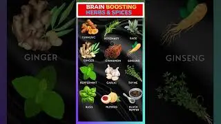 Top 12 Brain-Boosting Herbs & Spices for Mental Sharpness 🌿🧠 #foods #herbs #vitamin #shorts