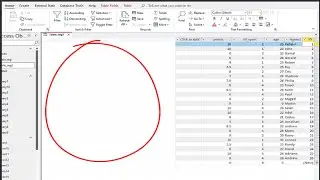 How to change table MS Access database orientation (Left to Right)