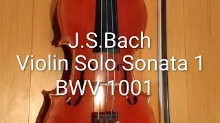 #Bach #Sonata1 #Violin #Solo #Hospital @AkkyNakagawa