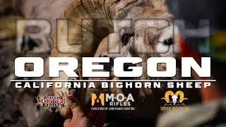 Oregon - California Bighorn Sheep - MOA Rifles + Sheep Mountain Outfitters