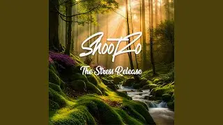 The Stress Release